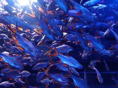 -成都浩海立方海洋公园