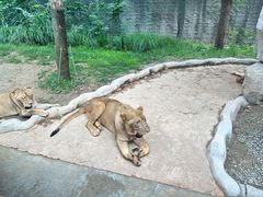 -北京野生动物园