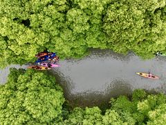 -动邦皮划艇·桨板·独木舟·团建户外运动俱乐部