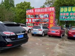 -小鱼草莓采摘园农家乐·小鱼餐厅