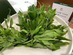 -烹然四季椰子鸡火锅(姚家园万象汇店)