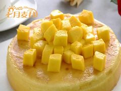 -维尔纳斯·生日蛋糕·动物奶油冰淇淋蛋糕(六里桥店)