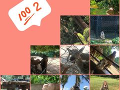 -海南热带野生动植物园