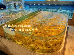 -欧记·龙城港(欣都店)