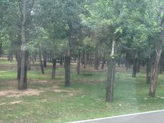 -秦皇岛野生动物园