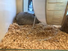 -龙猫仔乐园(惠福东路店)