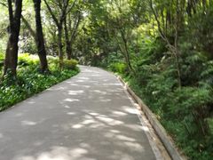 -广州雕塑公园