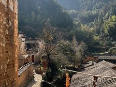 -杨家堂村