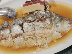 -新吉士·上海菜(浦东LCM置汇旭辉店)