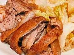 金奖卤鹅肉饭-陈鹏鹏潮汕菜(宝安机场T3航站楼店)