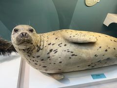 -国家自然博物馆