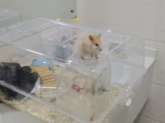 -西安汽车职业大学(临潼校区)
