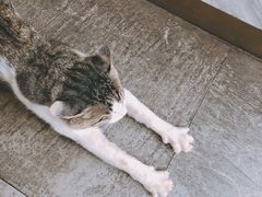 -UNI UNI(环亚凯瑟琳店)