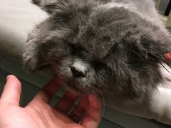 -小时光咖啡馆(开森度假森林店)