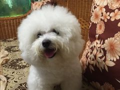 -芭比堂动物医院广州顽皮分院