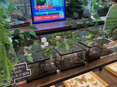 -凯德MALL(望京店)