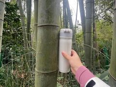 -缙云山景区