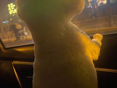 -美联众合24小时·皮肤科·外科·全科诊疗中心(华苑分院)