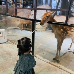 -酷嗒动物文化乐园(cutezoo西溪乐天城店)