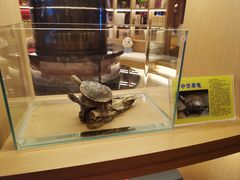 -御海8号温泉酒店