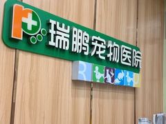 -瑞鹏宠物医院·夜间急症·心超·猫科(祖庙分店)