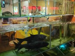 水产区-正宗波记潮州砂锅粥(新洲一街店)