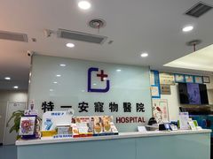 -特一安24小时宠物医院·骨科·中兽医