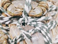 -圣罗巴海鲜自助(黑金店)