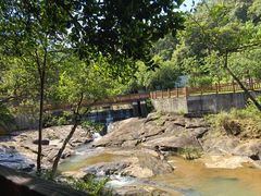 -广州白江湖森林公园