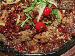 -老板恋上鱼(恒隆广场店)