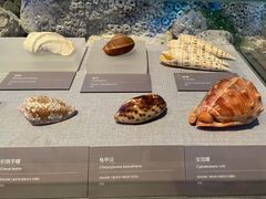 -中国（海南）南海博物馆