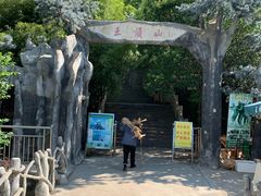 -王顺山国家森林公园