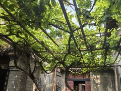 -康百万庄园