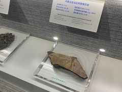 -抚顺煤矿博物馆