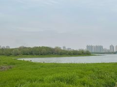 -盘龙城国家考古遗址公园