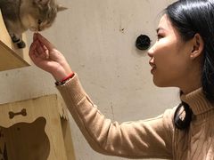 -猫色咖啡·猫咖
