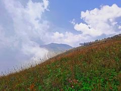 -白草畔自然风景区