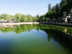 -金城公园