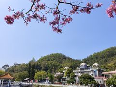 -红山村