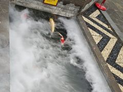 -西安市广仁寺