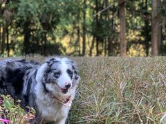 -孔雀湖生态旅游区