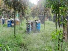 -勇士之星真人CS·团建·拓展(清水河公园店)