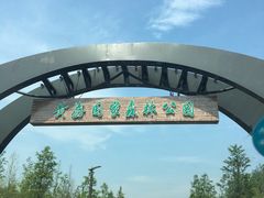 -黄海国家森林公园