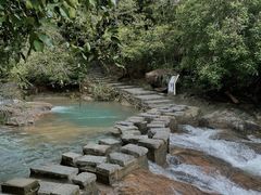 -广州白江湖森林公园