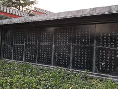 -东方巨龟苑景区