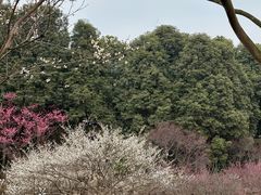 -三圣花乡旅游区