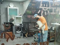 -汤姆宠物(长青北路店)