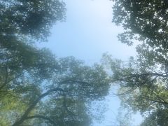 -热带风暴水上乐园(新镇路)