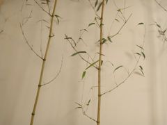 -十二舍·湯物素煮(江泰潤政店)