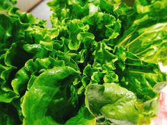 -古乐牛香·鲜牛肉牛杂火锅(新区店)